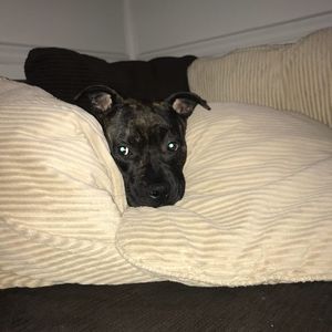 Meet your Posher, Connie